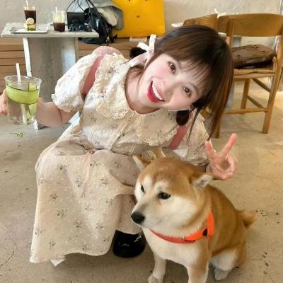 金色的梦 海报